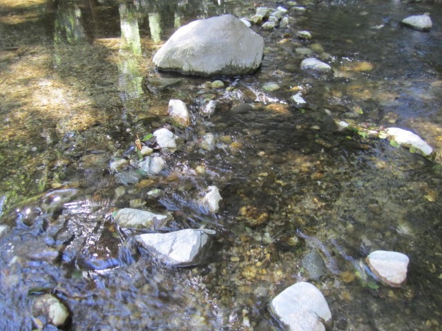 IMG_1200.JPG